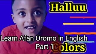 Learn Afan Oromo in English PART 1 HALLUU AFAAN OROMOODHAAN COLORS [upl. by Haggi]