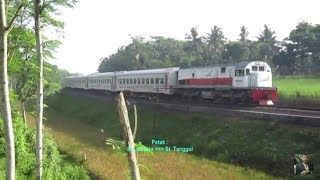 Perjalanan Tunggal Kereta Api PROBOWANGI Surabaya Gubeng  Banyuwangi  Part 1 [upl. by Evie]