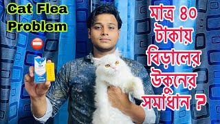 Cat Flea Treatment  How To Get Rid Of Flea  CatDog Flea Solution  Spot On For Cats  Frontline [upl. by Aicelet]