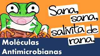 Lisozima Defensinas Proteínas de Unión al Hierro  Moléculas Antimicrobianas [upl. by Arhsub]