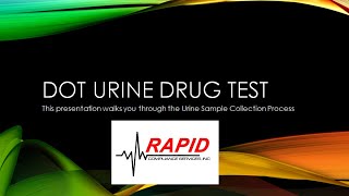 DOT Urine Drug Test What to Expect  The Process [upl. by Suckram]