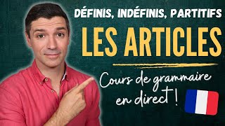 GRAMMAIRE française B1  Les articles définis indéfinis et partitifs [upl. by Ordnasela219]