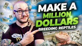 Can Breeding Reptiles ACTUALLY Make You Rich Also The Loudest Ball Python Fart Ever [upl. by Nnaeus]