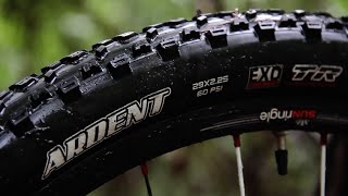 Product Video • Maxxis Ardent [upl. by Circosta]