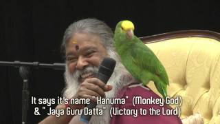 Amazon Parrot Hanuma talks instantly with Swamiji in front of thousands [upl. by Max]