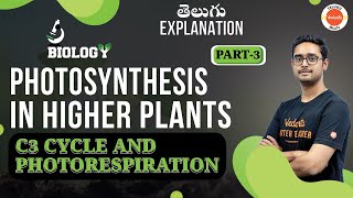 Photosynthesis in Higher Plants  Class 11 Biology  C3 Cycle amp Photorespiration  Vedantu Telugu [upl. by Aicetal]