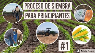 PROCESO DE SIEMBRA DE MAÍZ PARA PRINCIPIANTES 1 [upl. by Eniluj]