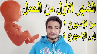 كل شئ عن الشهر الأول من الحمل  من الاسبوع الأول إلى الاسبوع الرابع من الحمل [upl. by Gustav]