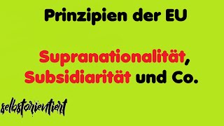 Subsidiarität Degressive Proportionalität Supranationalität  Europäische Union  Abitur 2020 [upl. by Shadow]