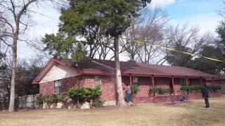 How to cut a Tree down close to a house [upl. by Adnar]