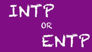 INTP or ENTP Which Personality Type Are You [upl. by Klement]