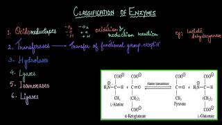 Classification of enzymes  Biomolecules  Biology  Khan Academy [upl. by O'Gowan]