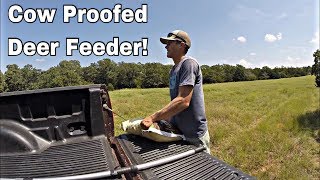 How To Cow Proof Your Deer Feeder [upl. by Neyu]