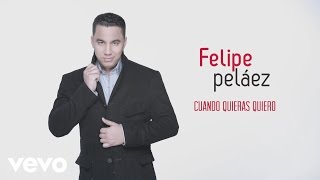 Felipe Pelaez  Cuando Quieras Quiero Cover Audio [upl. by Odraner526]