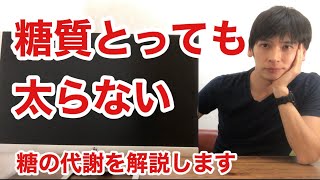 糖質をとっても太らない！糖の代謝を解説しますダイエット栄養学 [upl. by Atinra]