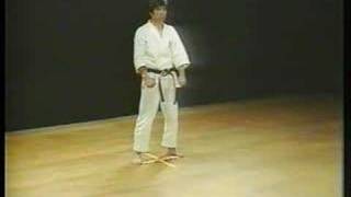 Heian Sandan  Shotokan Karate [upl. by Thurston]