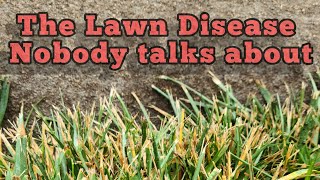 Lawn Disease  Melting Out and Leaf Spot [upl. by Niu1]