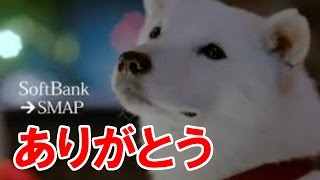 「スマスマ」最終回、一度だけ流れたソフトバンクのCM [upl. by Stevana]