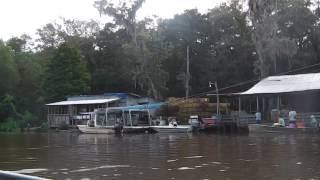 Swamp houses in New Orleans [upl. by Swithbert]