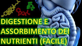 DIGESTIONE E ASSORBIMENTO DEI NUTRIENTI FACILE  Carboidrati proteine e lipidi  Funzioni enzimi [upl. by Norit]