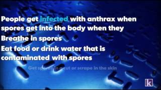 What is anthrax [upl. by Arlie260]