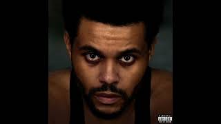 The Weeknd  Die Young HURRY UP TOMORROW [upl. by Nac]