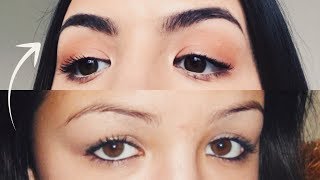 HOW TO GROW THICKER EYEBROWS NATURALLY amp FAST [upl. by Ecirtap]