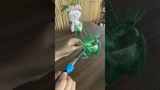 Beautiful design cut bottle plastic growing flowers so beautiful garden flowers plantingplan diy [upl. by Aeriel]