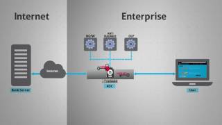 Radware SSL Inspection [upl. by Yarazed]