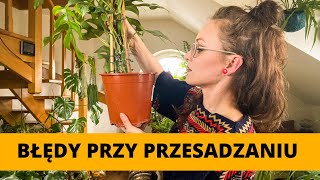 20 Najczęściej popełnianych błędów przy PRZESADZANIU domowych roślin doniczkowych 🌱 Vlog [upl. by Hendrickson]