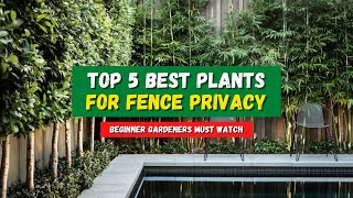 Top 5 Plants for Fence That Provide Extra Privacy  Privacy Fence Hedge Landscaping 👌 [upl. by Mcripley315]