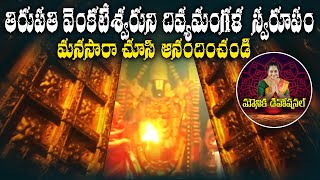 తిరుపతి వెంకటేశ్వరుని దివ్యమంగళ స్వరూపం  Balaji Temple  Inside Tirumala Tirupati Temple [upl. by Schaefer]