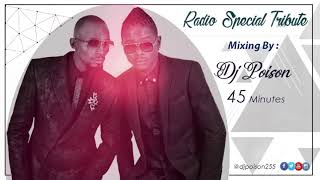 RADIO amp WEASEL Radio Special Tribute Mix  Music Mixing by DJ Poison [upl. by Adriaens748]