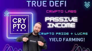 AMA WITH CRYPTO LABS COME FIND OUT HOW TO GET STARTED IN TRUE DEFI passive passiveincome crypto [upl. by Ahsenad]