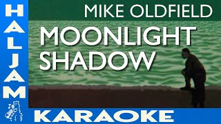 Mike Oldfield  Moonlight Shadow karaoke [upl. by Nueovas]