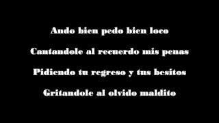 Ando Bien Pedo Los Recoditos Letra [upl. by Torrance]