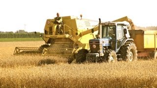 Classic Combine Week 7 New Holland Clayson M140 [upl. by Voss435]