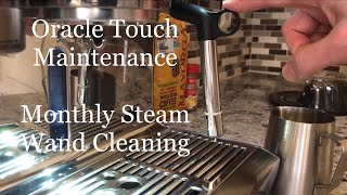 Breville Oracle Touch Maintenance  Monthly steam wand cleaning  Fix frothing issues [upl. by Hamon658]