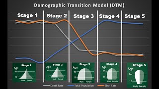 The Demographic Transition Model [upl. by Demetri]