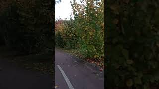 Surfskate🌊🛹 Trip automne 🍁 champ🌾 et bois🌳 🇨🇵 Magny le Hongre 77 [upl. by Nosille]