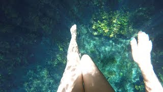 Carnival Paradise Cenote Hopping Excursion Cozumel [upl. by Crofoot423]