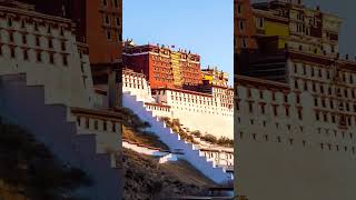 The Great Potala Palace in Tibet travel tibetanmonastery potalapalace lhasa tibet Palace [upl. by Adelric]