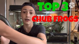 Top 3 Chubby Frogs  TOP 3 [upl. by Janessa]