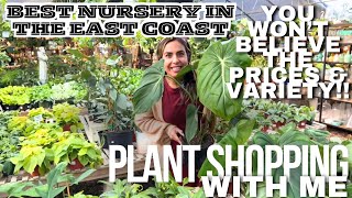 PLANT SHOPPING WITH ME AT ONE OF THE BEST NURSERIES IN THE EAST COAST WOW THE PRICES amp VARIETY [upl. by Hauhsoj866]