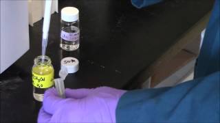 HPLC Tutorial 1preparing and loading sample 2015 version [upl. by Menendez]