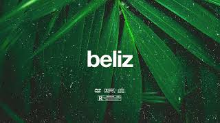 FREE  quotBelizquot  Swae Lee x Burna Boy x Rema Type Beat  Free Beat  Dancehall Instrumental 2024 [upl. by Aldus580]