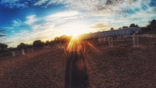 GOPRO  Showjumping up to 1m40 [upl. by Aciretnahs]