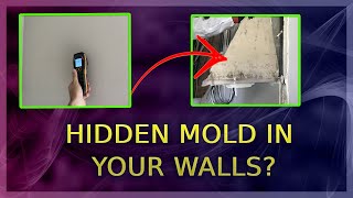 Black Toxic Mold Hidden In Your Walls You Need To Do This [upl. by Otsirc]