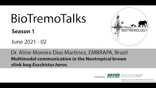 BioTremoTalks0302 Multimodal communication in the stink bug dr Aline Moreira Dias Martinez [upl. by Anavrin347]