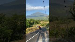 Bale pulang pophits shortvideo laguindonesia [upl. by Loss998]